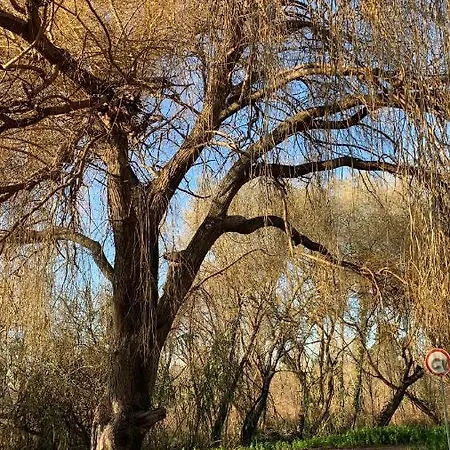 Casa Do Areal, Refugio Rotas Pedestres Em Mira (Coimbra)