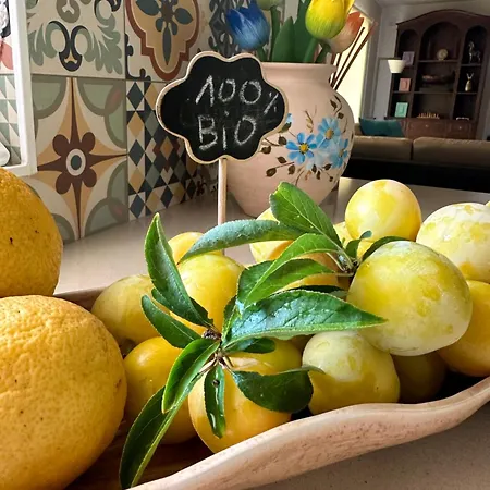 Casa Do Areal, Refugio Rotas Pedestres Em Σπίτι διακοπών *