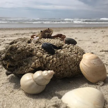 Σπίτι διακοπών Casa Do Areal, Refugio Rotas Pedestres Em