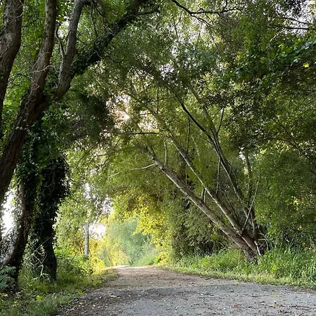 Casa Do Areal, Refugio Rotas Pedestres Em 米拉