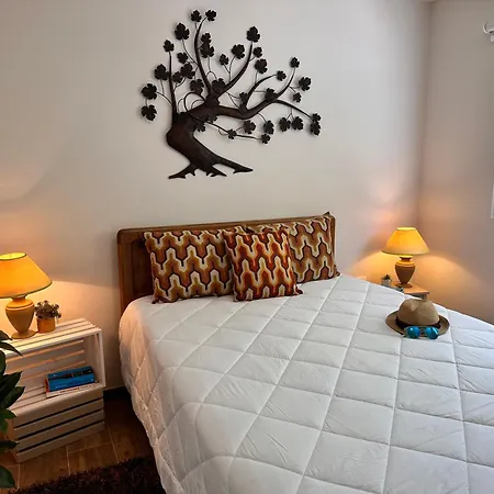 Casa Do Areal, Refugio Rotas Pedestres Em Tatil Evi Mira (Coimbra)