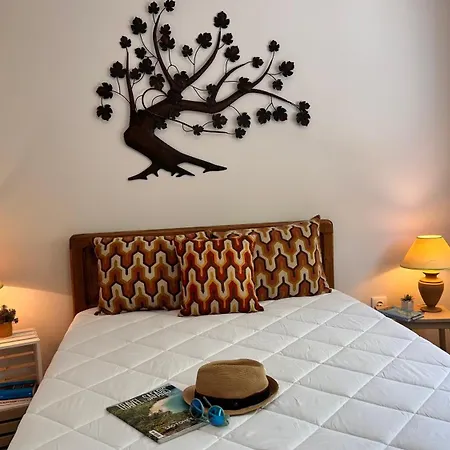 Casa Do Areal, Refugio Rotas Pedestres Em * Mira (Coimbra)