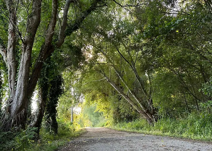 Casa Do Areal, Refugio Rotas Pedestres Em Mira (Coimbra)
